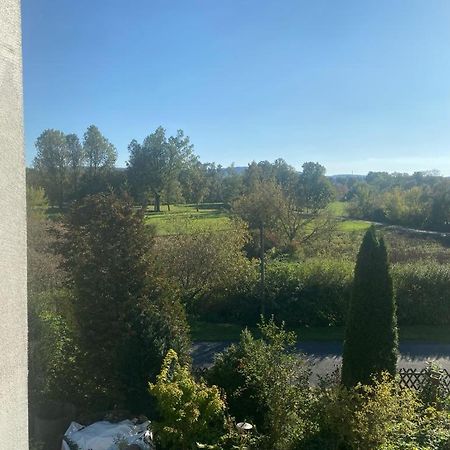 באד זאלצינגן Ferienhaus Soleblick מראה חיצוני תמונה