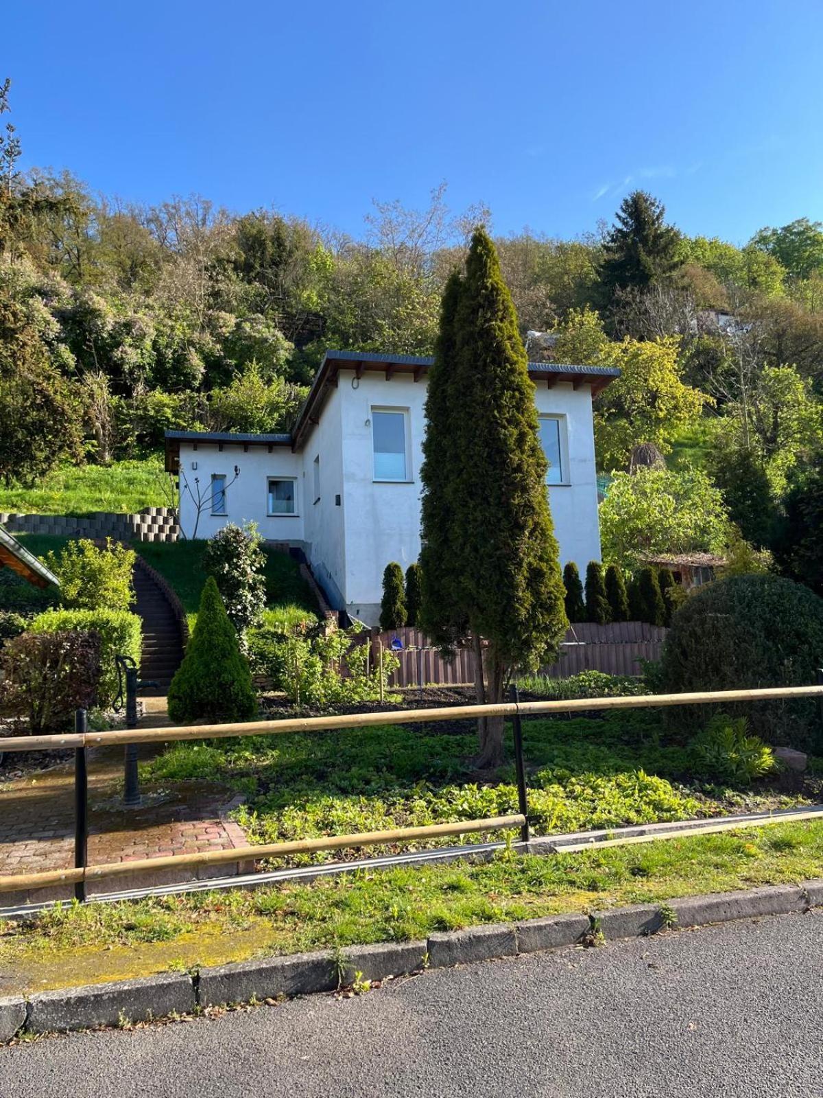 באד זאלצינגן Ferienhaus Soleblick מראה חיצוני תמונה